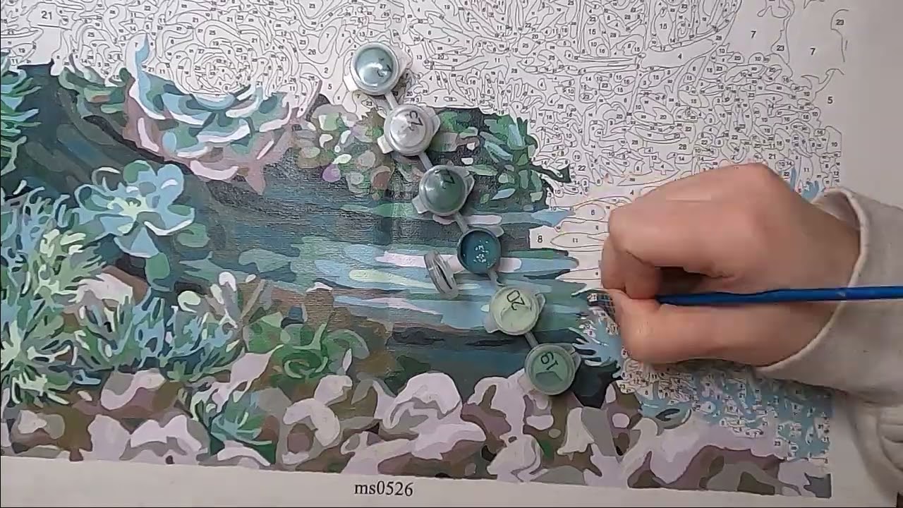 Paint by Number Time Lapse | Beautiful Succulents