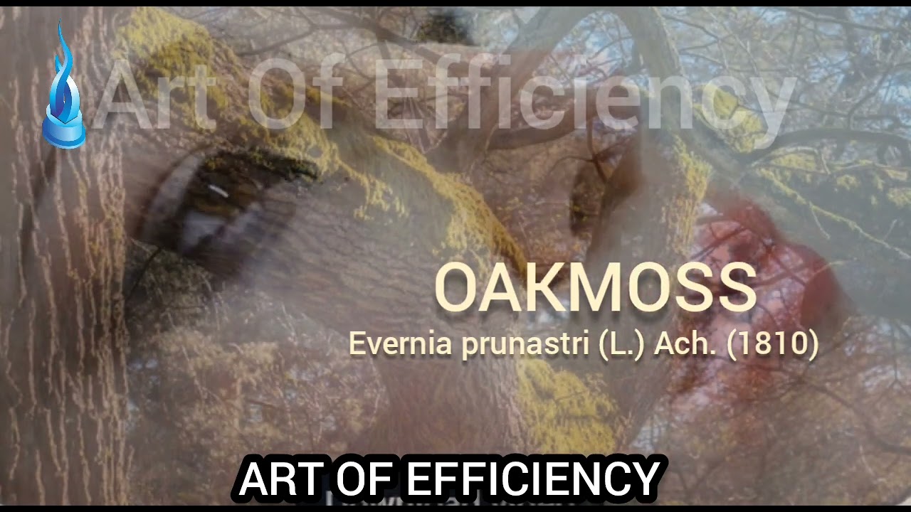 WHAT IS OAKMOSS
