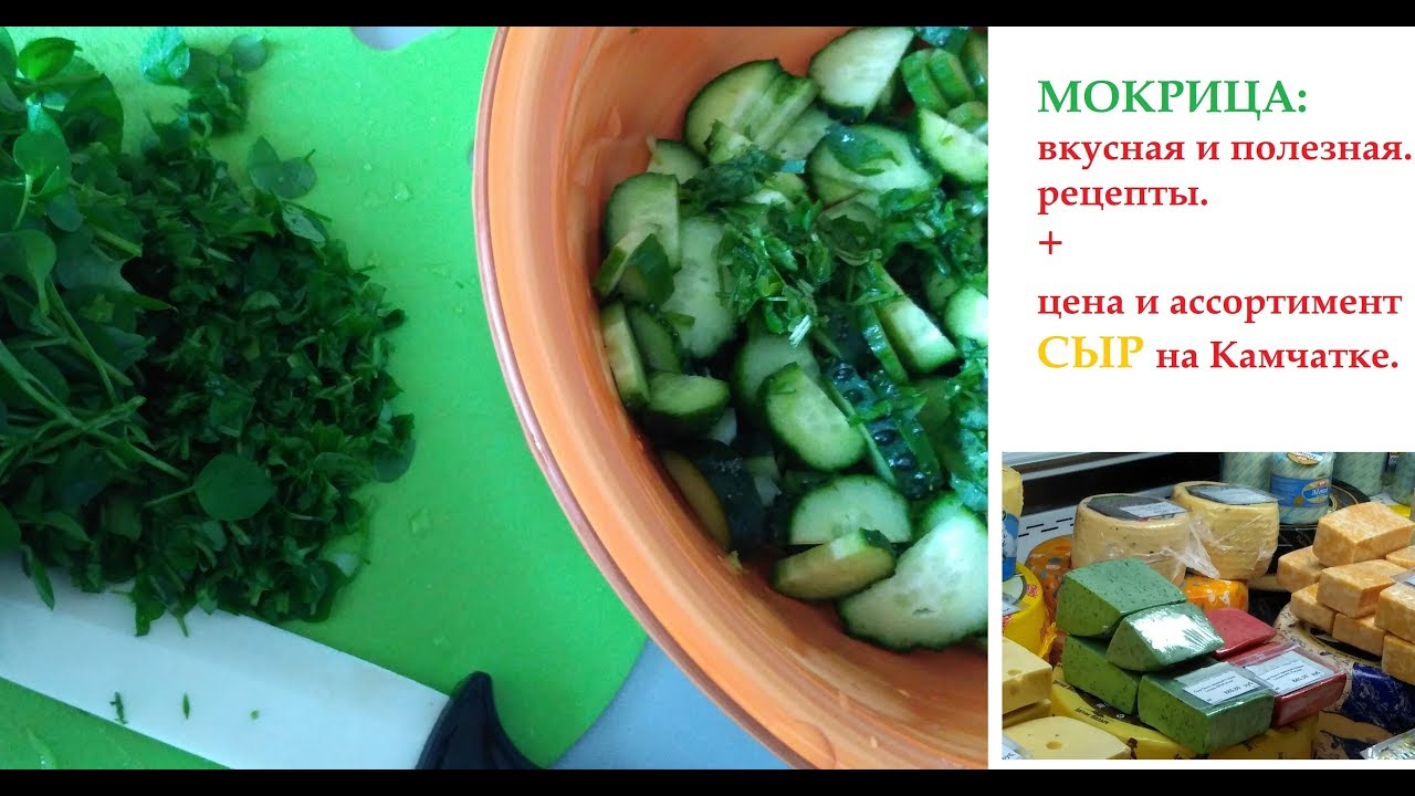 238.МОКРИЦА, звездчатка - вкусная и полезная/ Сыр цены и ассортимент на Камчатке