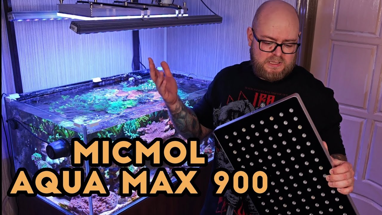 Обзор micmol aqua max 900