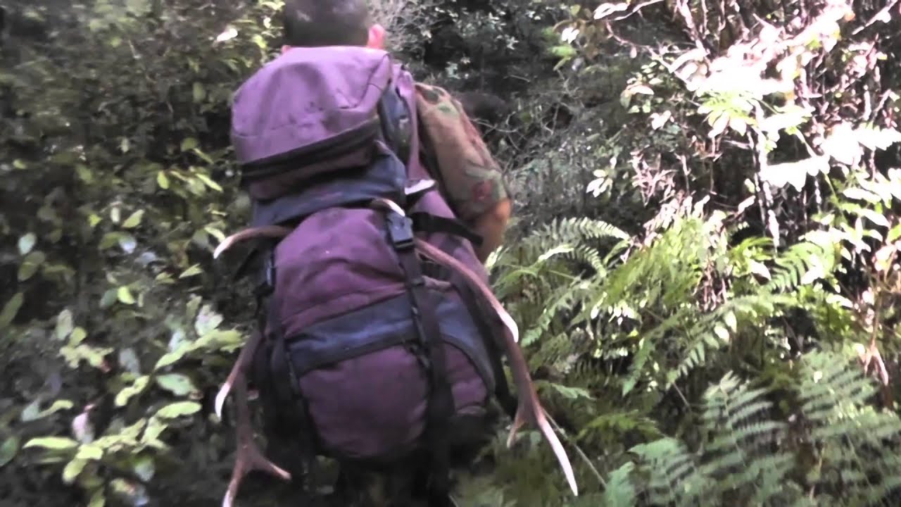 Backridge Butcher Sika Roar 2012
