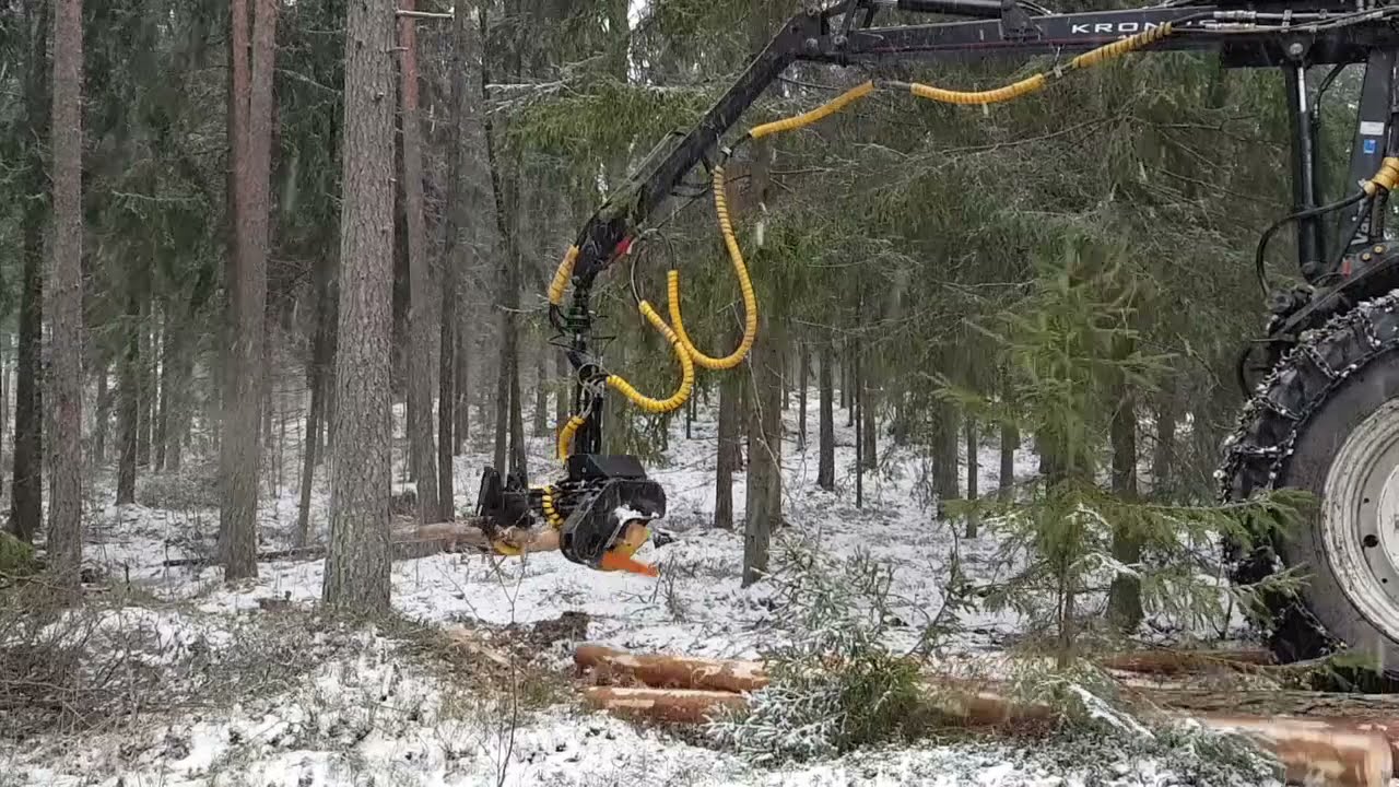 Arbro Stroke harvennusta ja tuulenkaatoja | Valtra 6550 HiTech + Kronos 4000