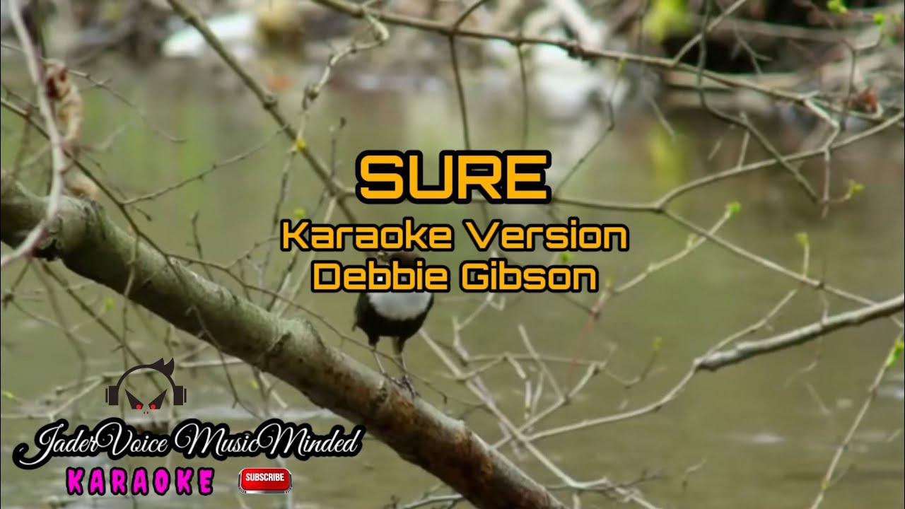 SURE | Debbie Gibson | KARAOKE Version