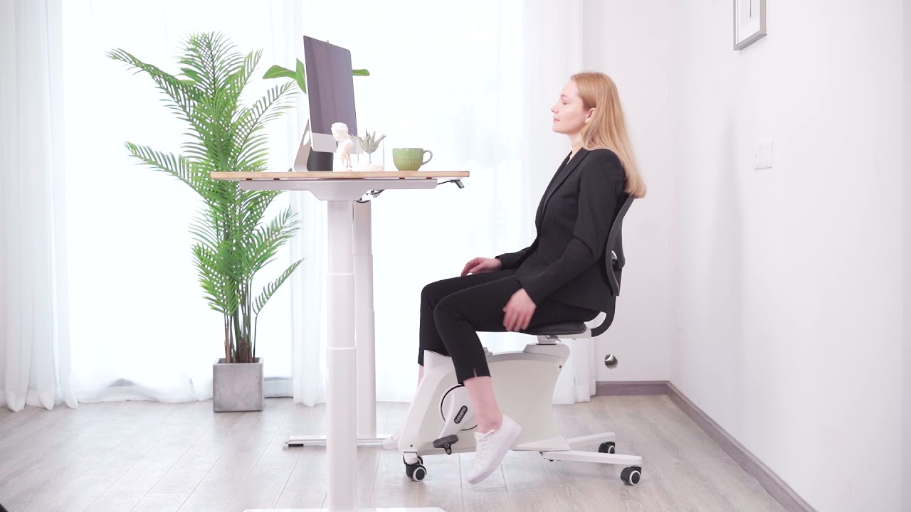 FLEXISPOT Sit2Go 2-in-1 Fitness Chair