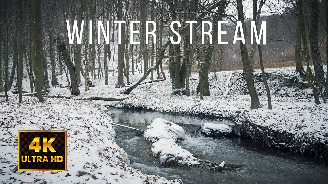 ❄️ 10 Hours of Winter Stream | Snowy Forest Creek White Noise for Sleep & Focus | 4K UHD