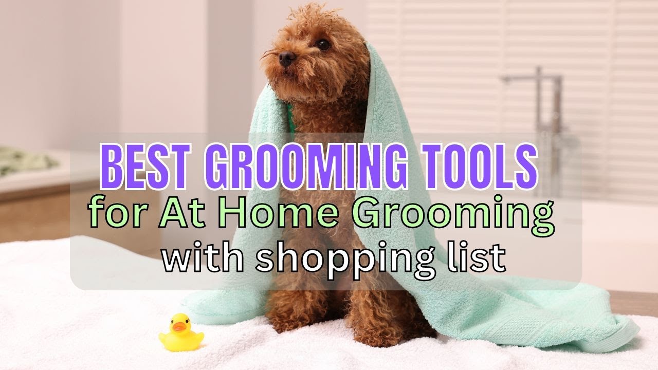 Best Grooming Tools for At Home Dog Grooming