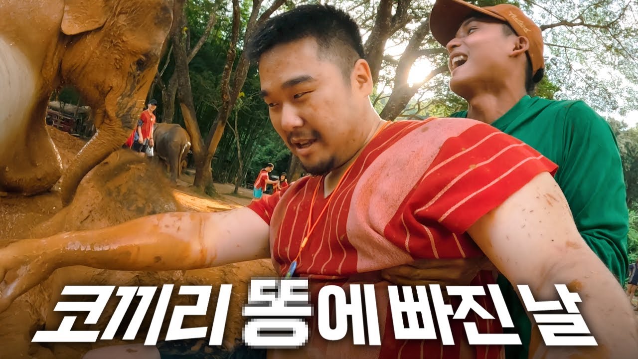 봉사하러 갔다가 당한 봉변당함... | 코끼리 보호소 투어 🇹🇭 태국 여행