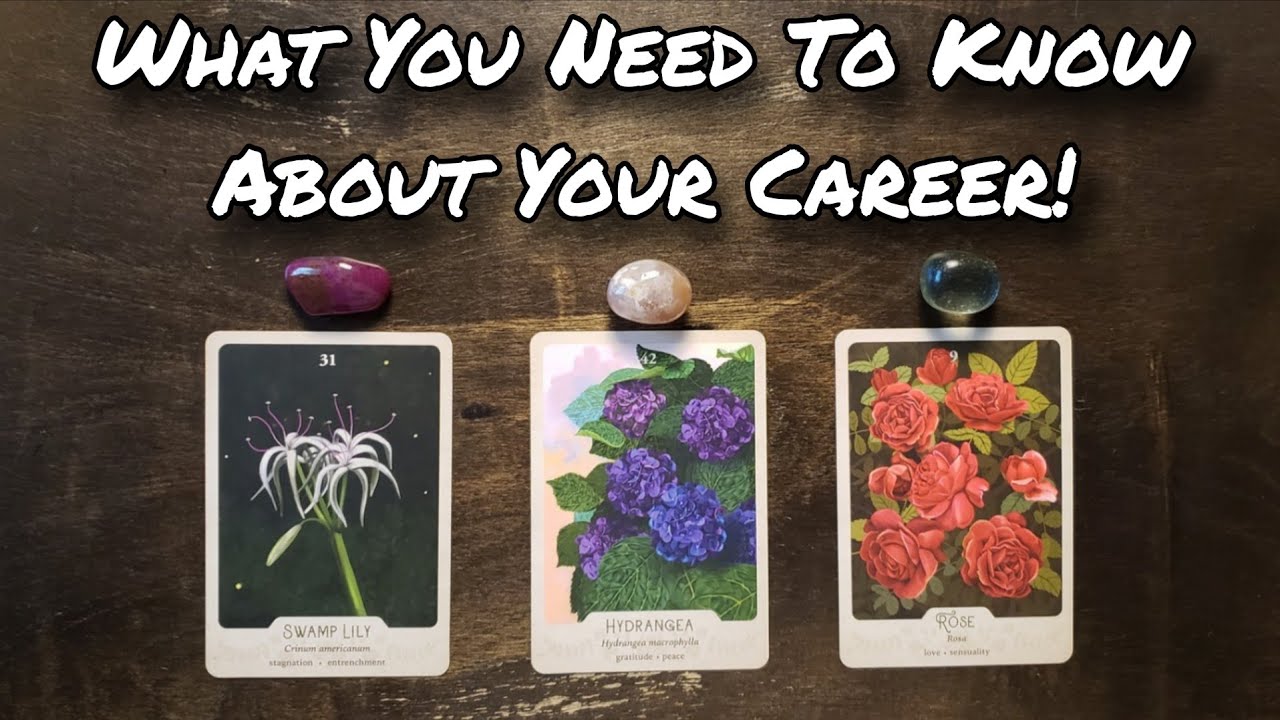 💡💼 What You Need To Know About Your Career Right Now! Pick A Card Reading 