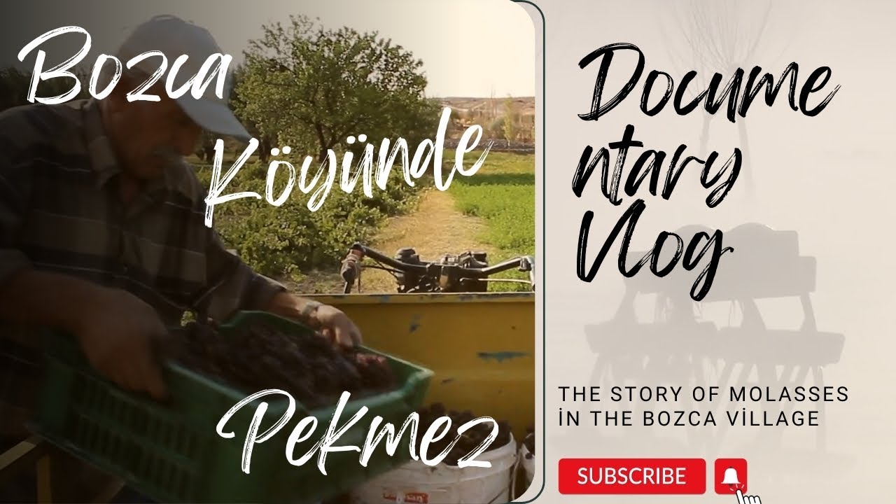 BOZCA köyünde pekmezin hikayesi