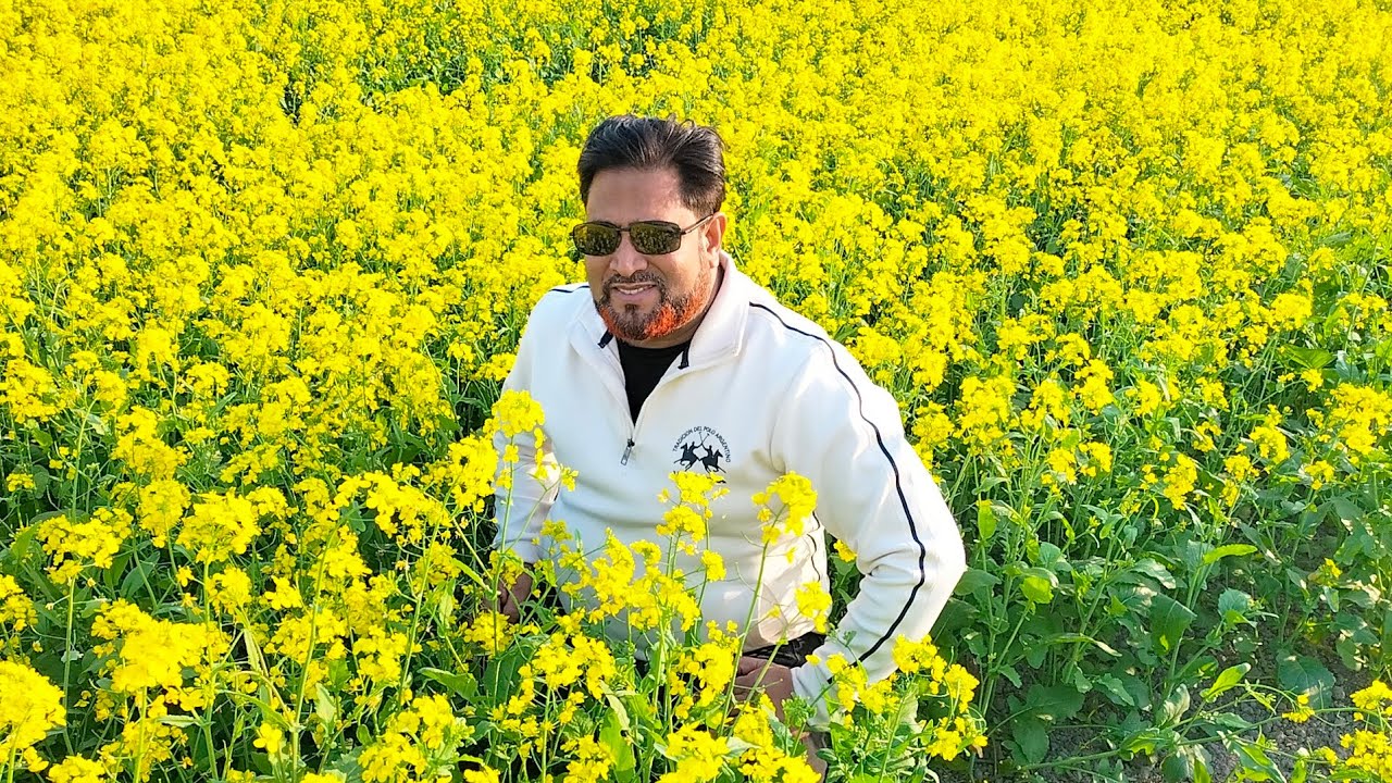 অলিপুরা, সোনারগাঁ, নারায়নগঞ্জ