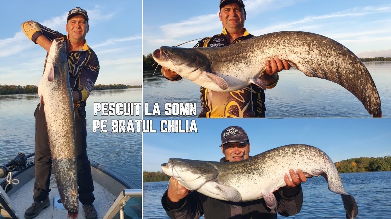 Pescuit la somn in Delta Dunarii pe o groapa de 30m. Bratul Chilia.