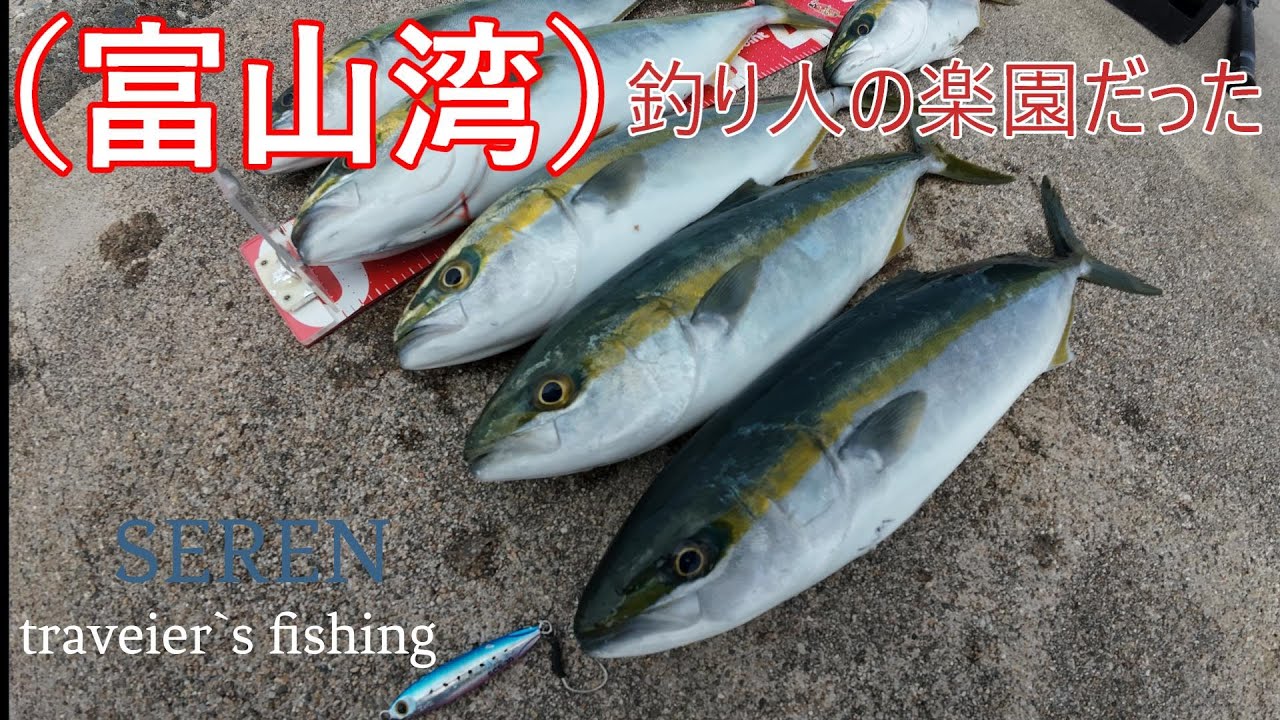 富山湾は釣り人の楽園だった？？？？