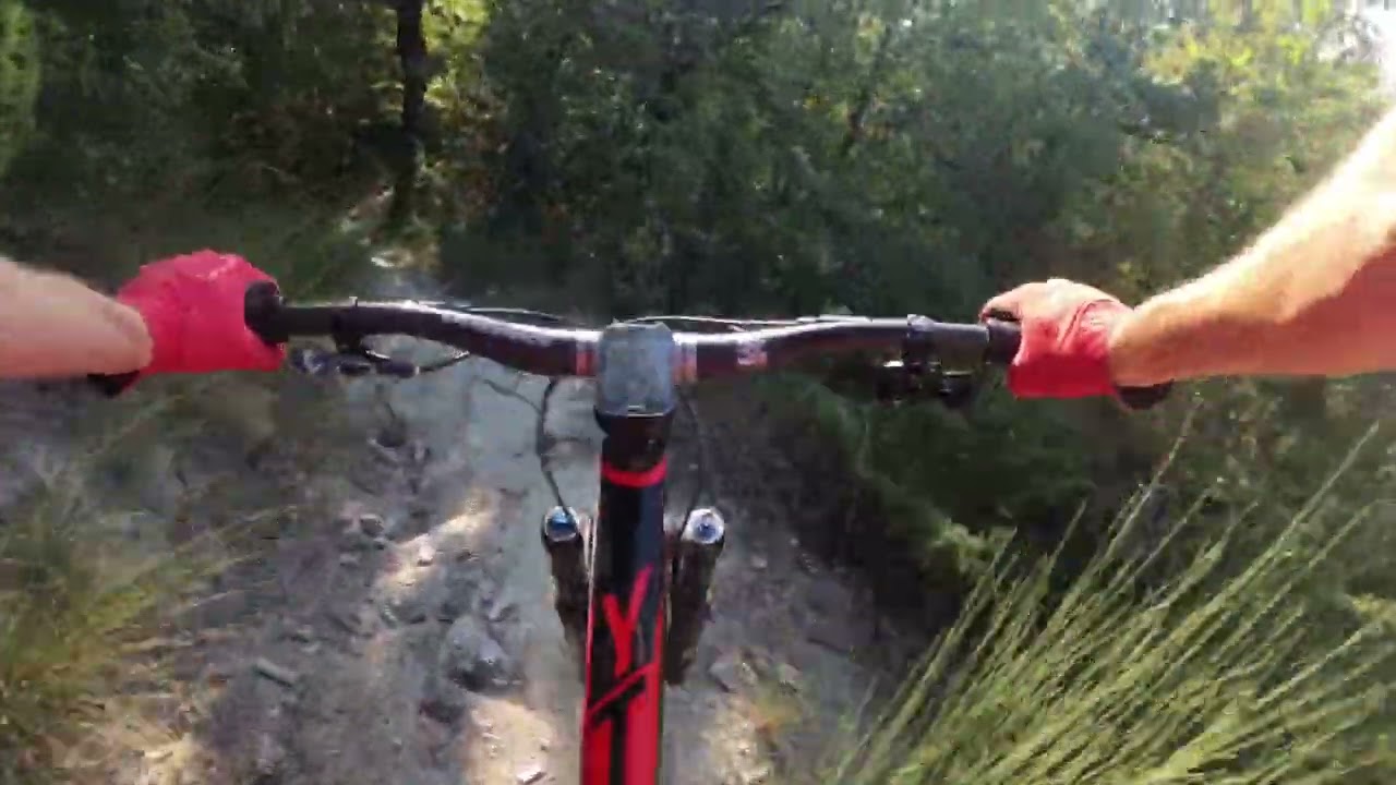 MTB Enduro - Boar Trail, Quarto di Romagna [P.O.V.]