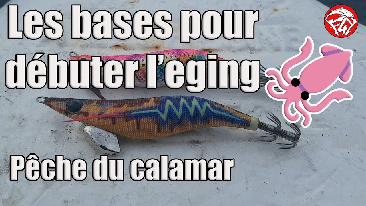 PÊCHE DU CALAMAR ( Eging) : LES BASES POUR DÉBUTER turluttes,canne, animations,montage