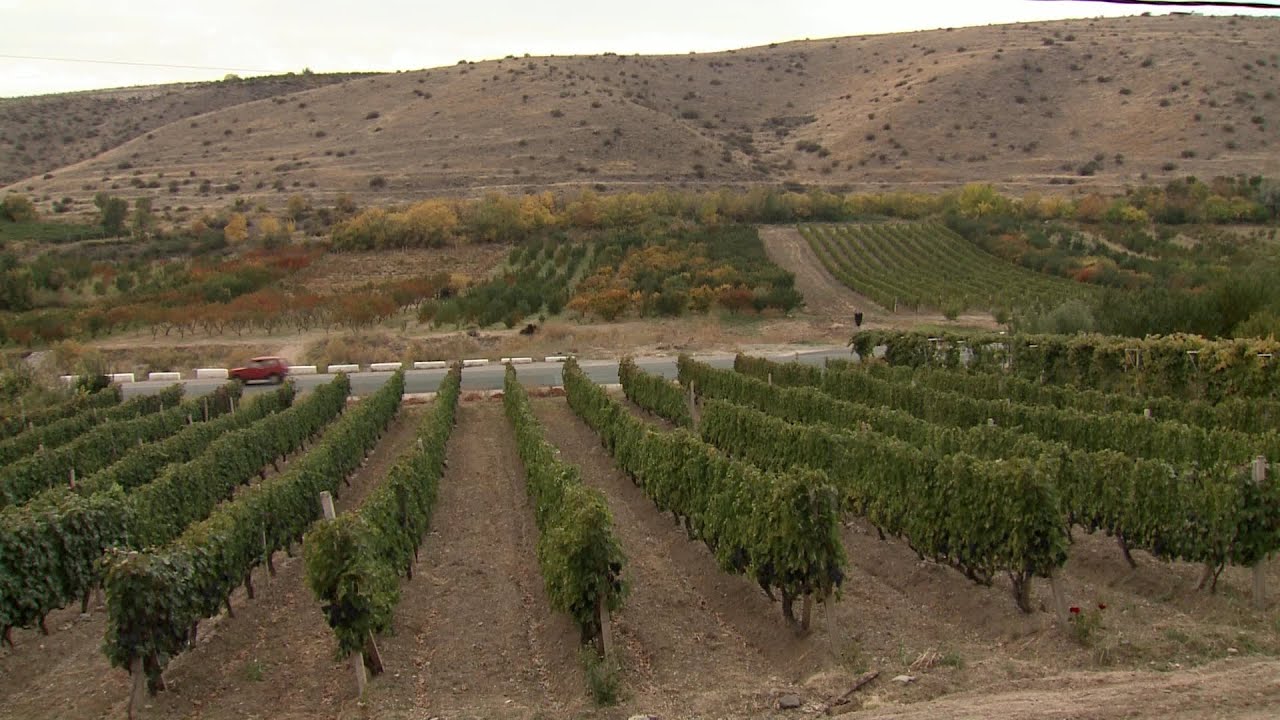Արենի գյուղ