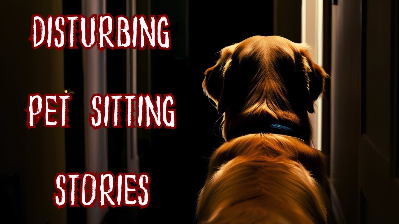 3 Disturbing Pet Sitting Horror Stories | Terrifying Tales of Pet Sitters' Worst Nightmares