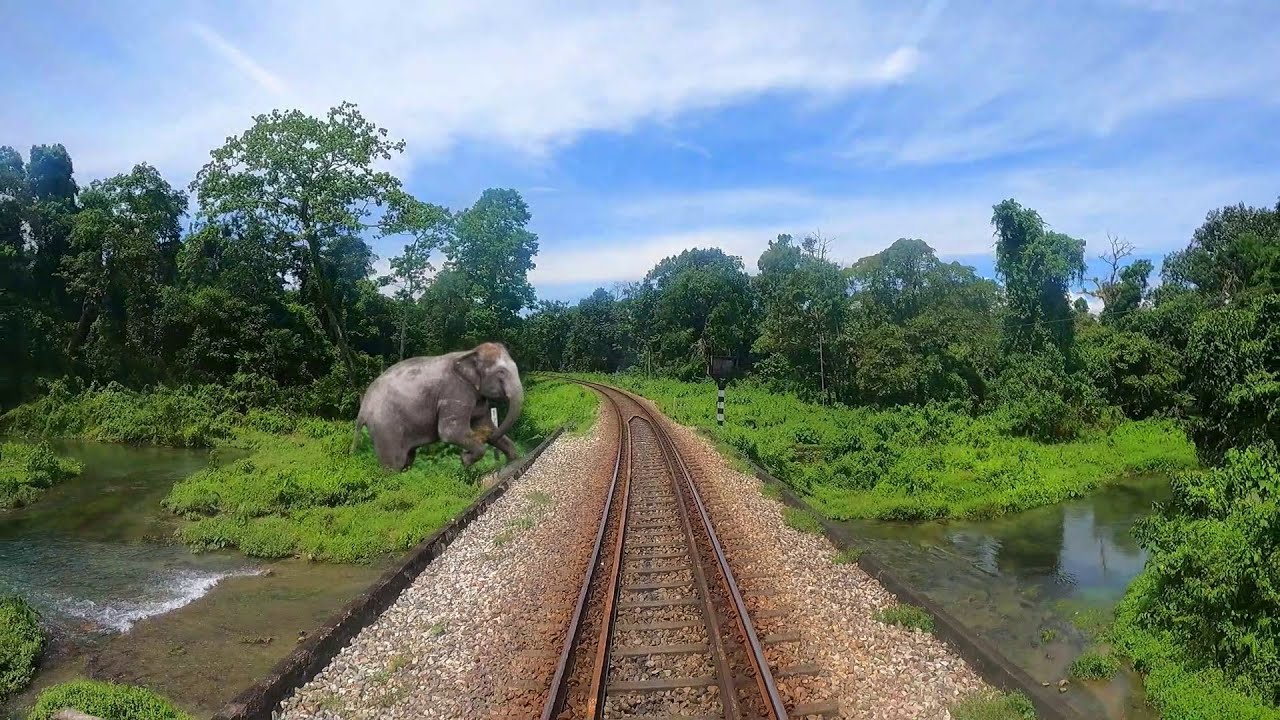 Vistadome Tourist Special Train : New Jalpaiguri To Alipurduar Dooars Jungle Safari
