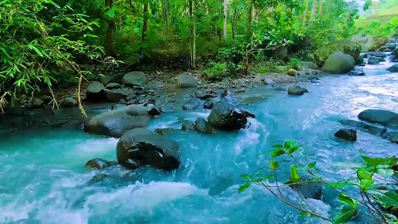 Fall Asleep - Soothing Water Stream Sounds and Gentle River Flow