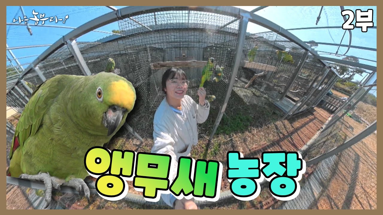 [나는 농부다 378회 2부] 나 혼자 산다 '32마리의 앵무새와'
