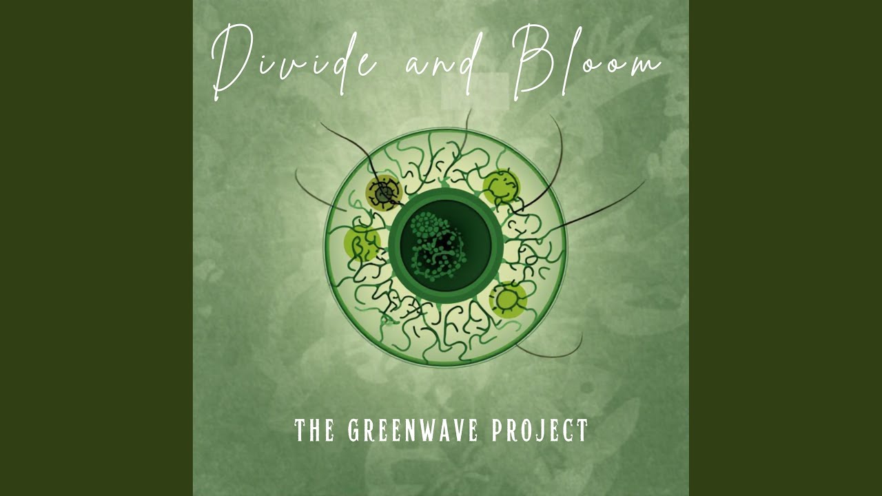 Divide and bloom