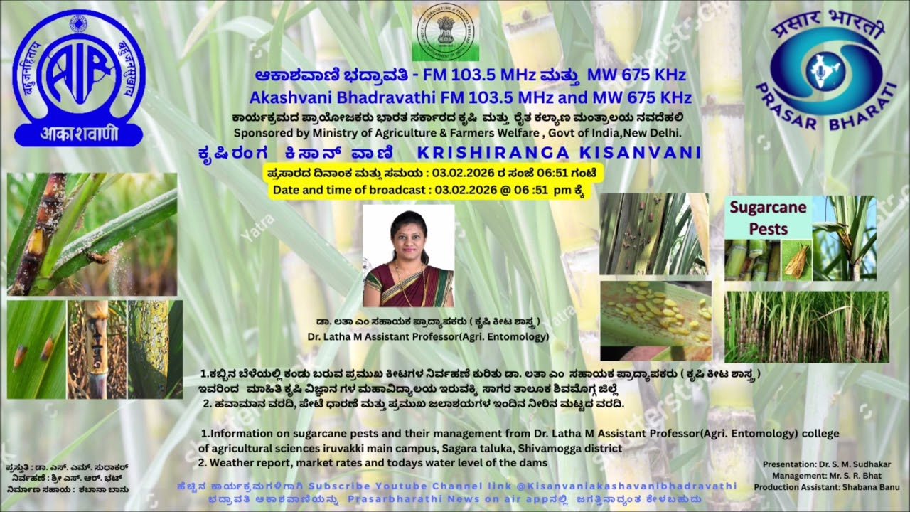 ಕಬ್ಬಿನ ಬೆಳೆಯಲ್ಲಿ ಕಂಡು ಬರುವ ಪ್ರಮುಖ ಕೀಟಗಳ ನಿರ್ವಹಣೆ ಕುರಿತು
