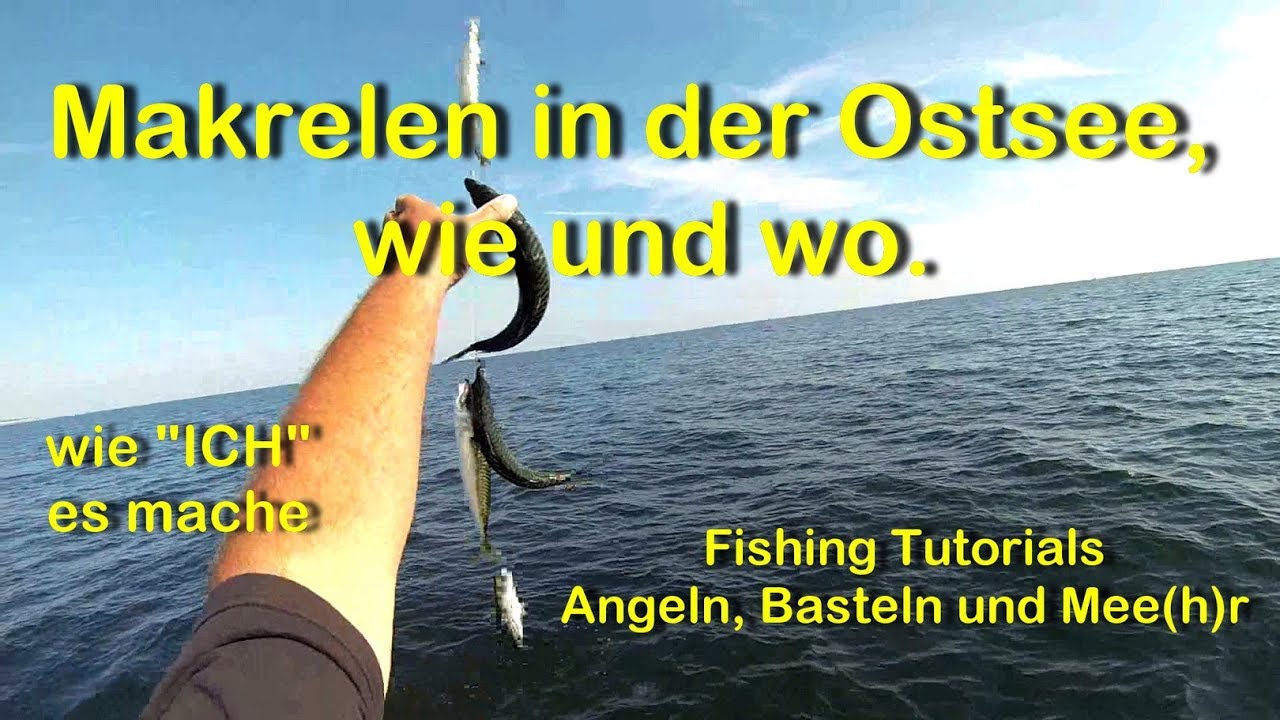 Makrelen in der Ostsee, wie und wo vom Boot