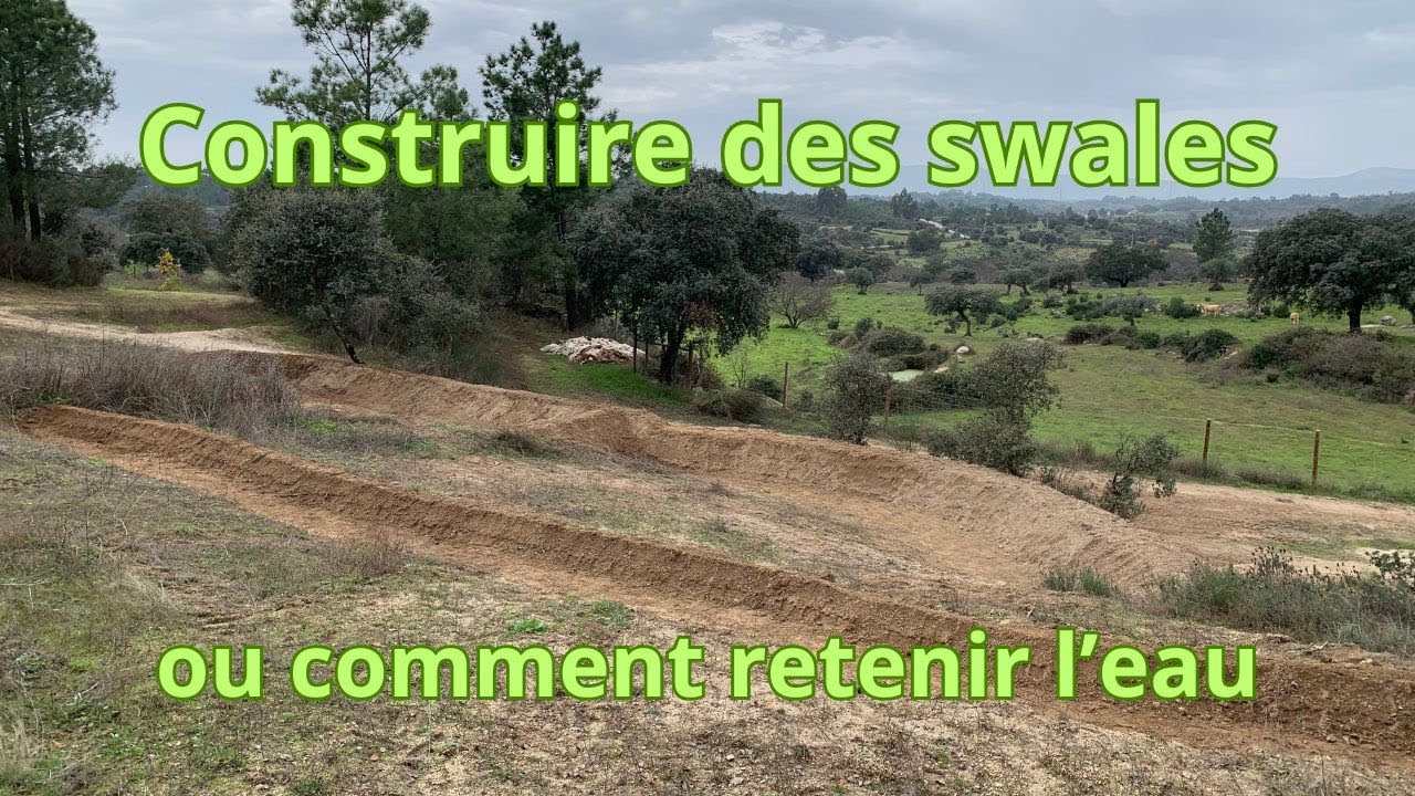 La construction d'une swales (baissière) pour retenir l'eau