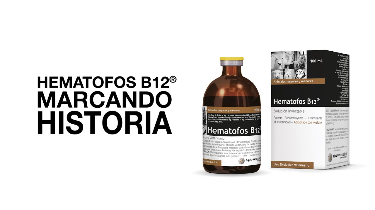 Hematofos B12