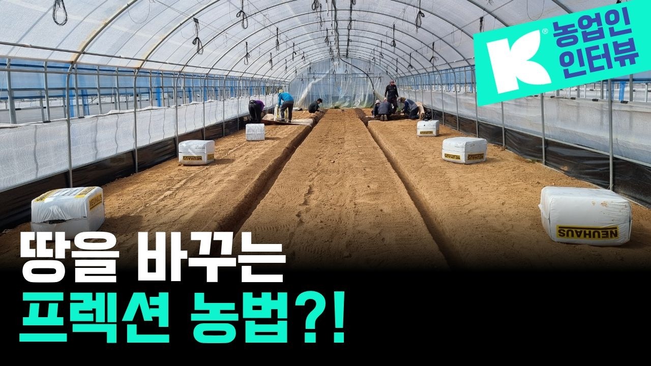 2026년 전남 해남 에서는 땅을 사용하지 않고 밤호박 농사를 짓는다?!