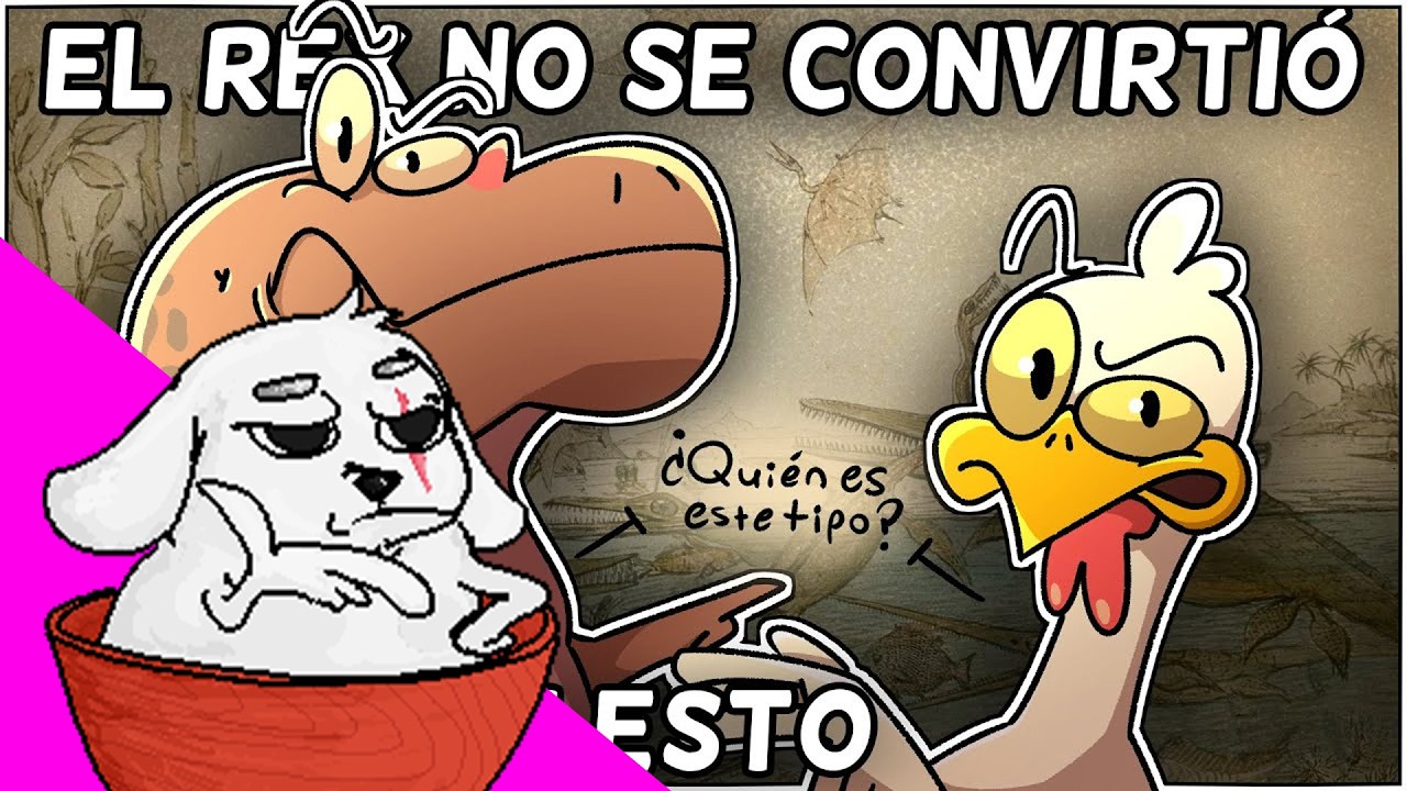 Huntleo reacciona a 