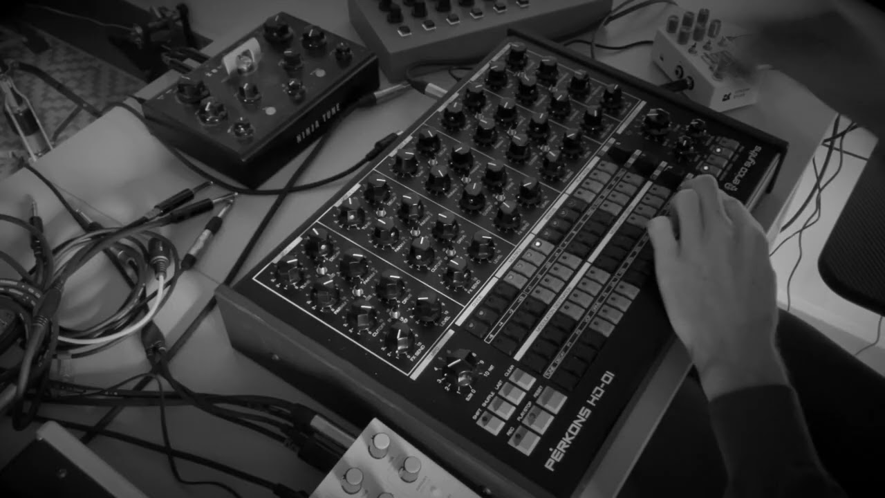 Erica Synths PĒRKONS