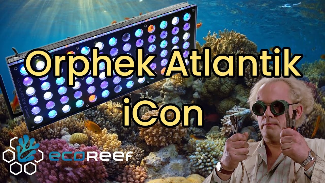 Orphek Atlantik iCon