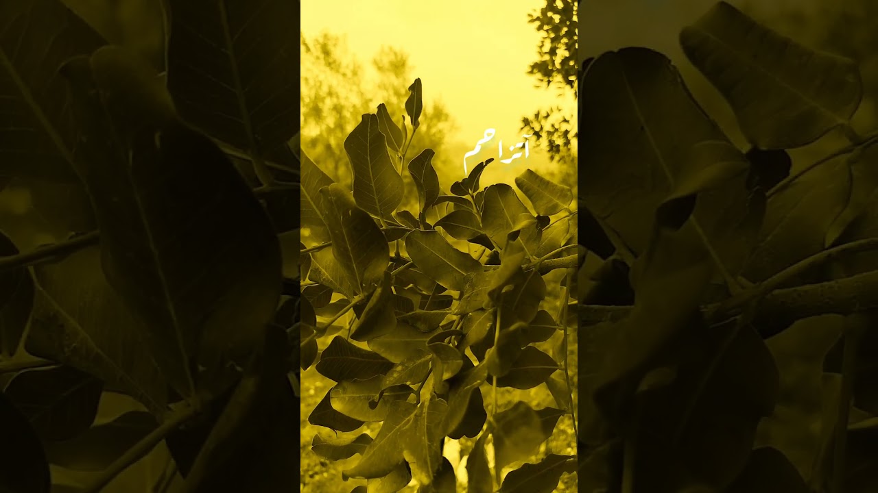 ١٤ شباط، ٢٠٢٦