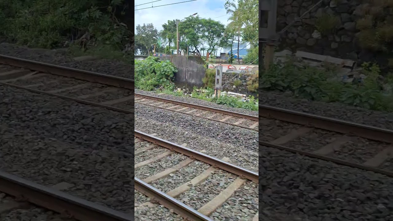 12619 Matsyagandha express crossing a Mumbai local🧡