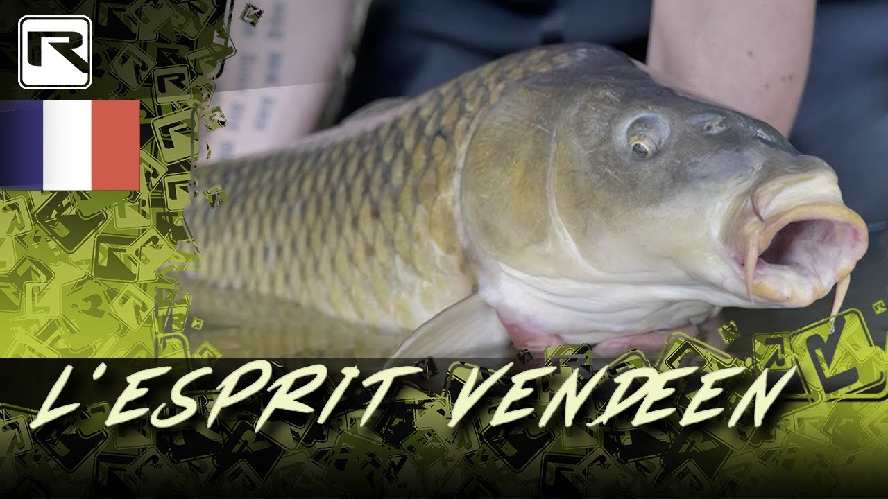 L'esprit vendéen  - RADICAL CARP FISHING