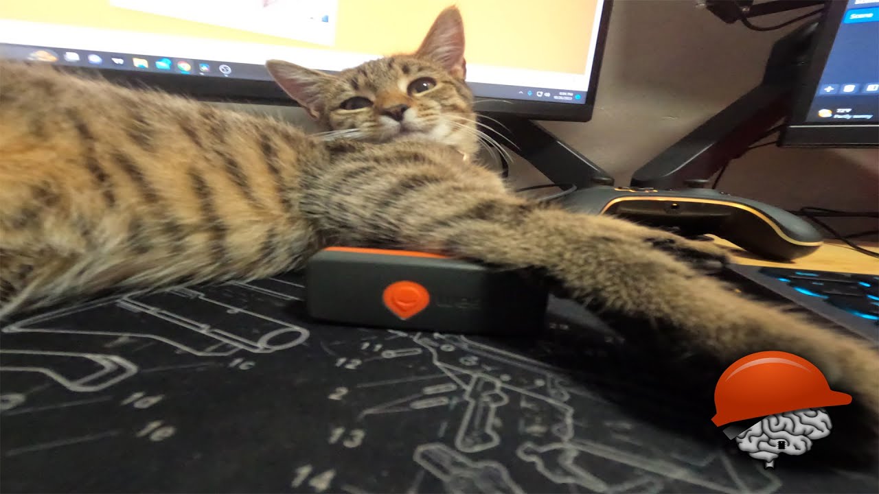 WEENECT Cat GPS AMAZING TECH FOR KITTY