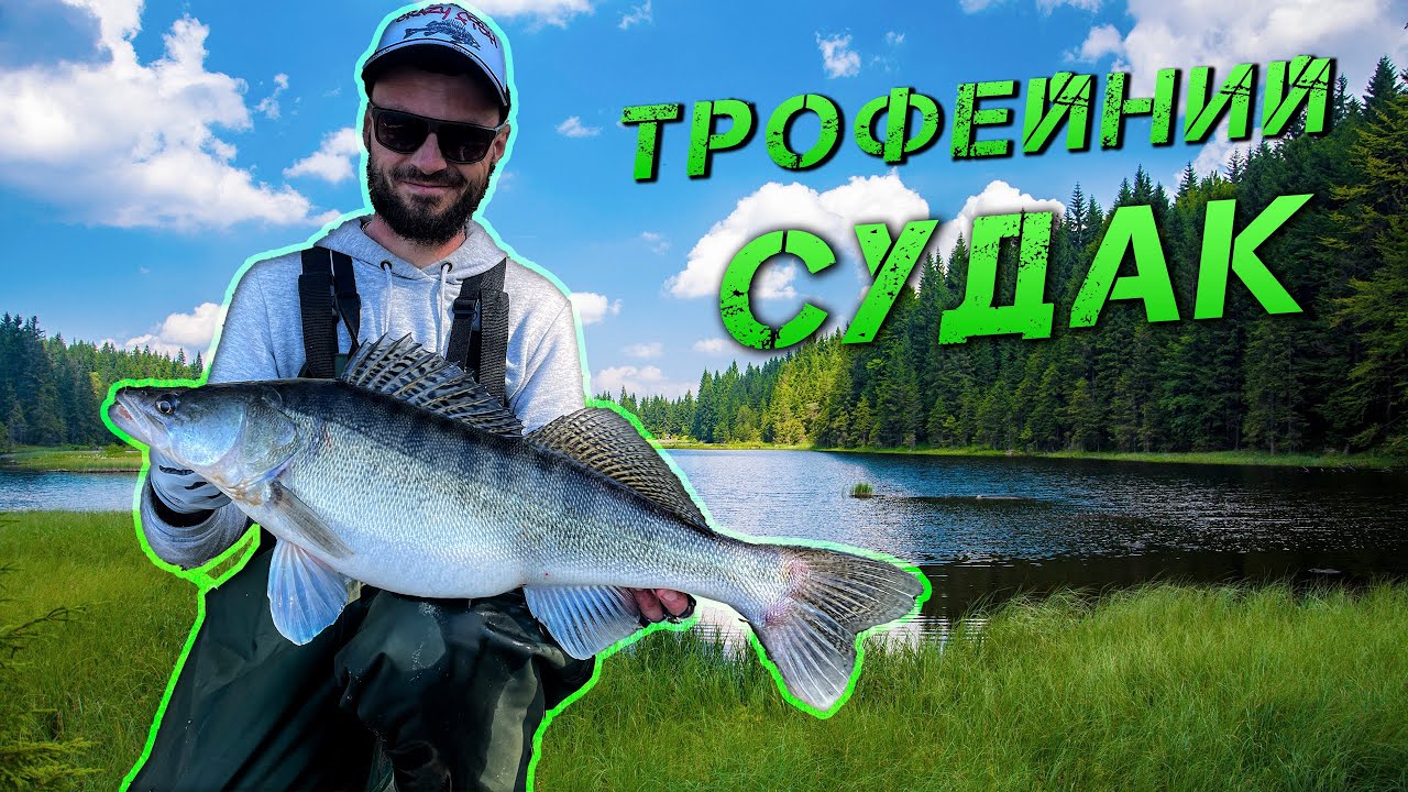 ✅Оце КЛЮНУВ! ТРОФЕЙНИЙ СУДАК✅