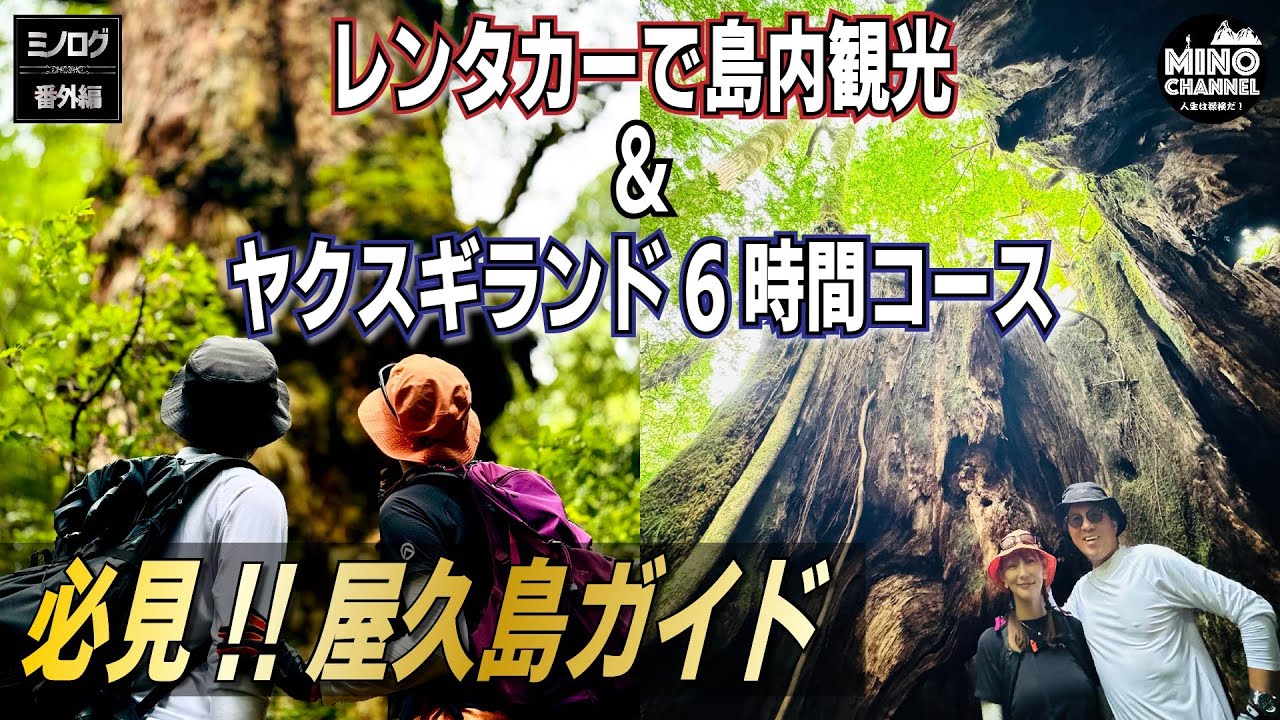 【ミノログ番外編　必見！屋久島ガイド「レンタカーで島内観光＆ヤクスギランド6時間コース】