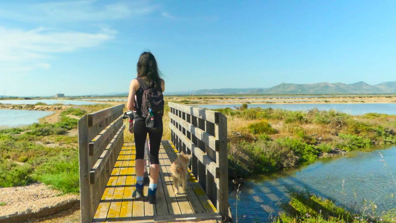 Le saline di Sant'Antioco e i Fenicotteri Rosa