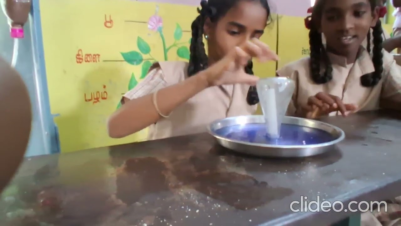 pums ckn science