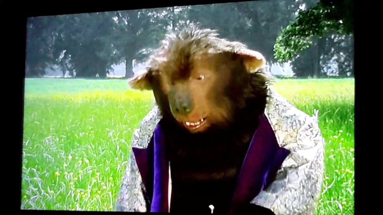 THE COUNTRY BEARS