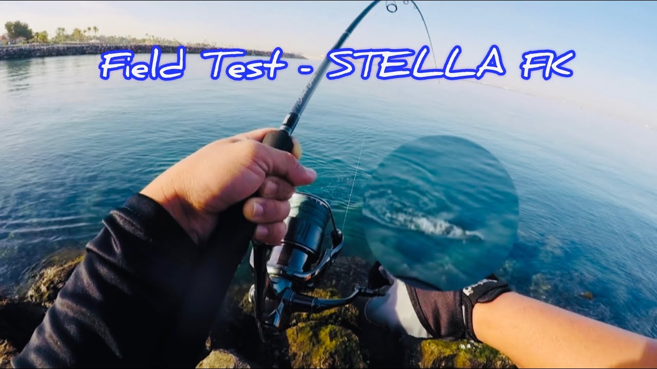 Shimano Stella C5000XG FK Field Test | Rapala DS | King Fish