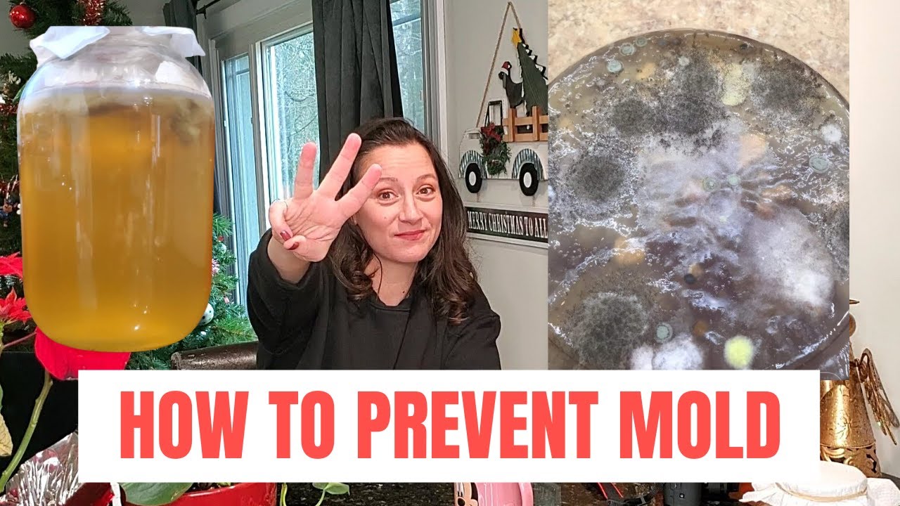 Top 3 Reasons for MOLD in your KOMBUCHA