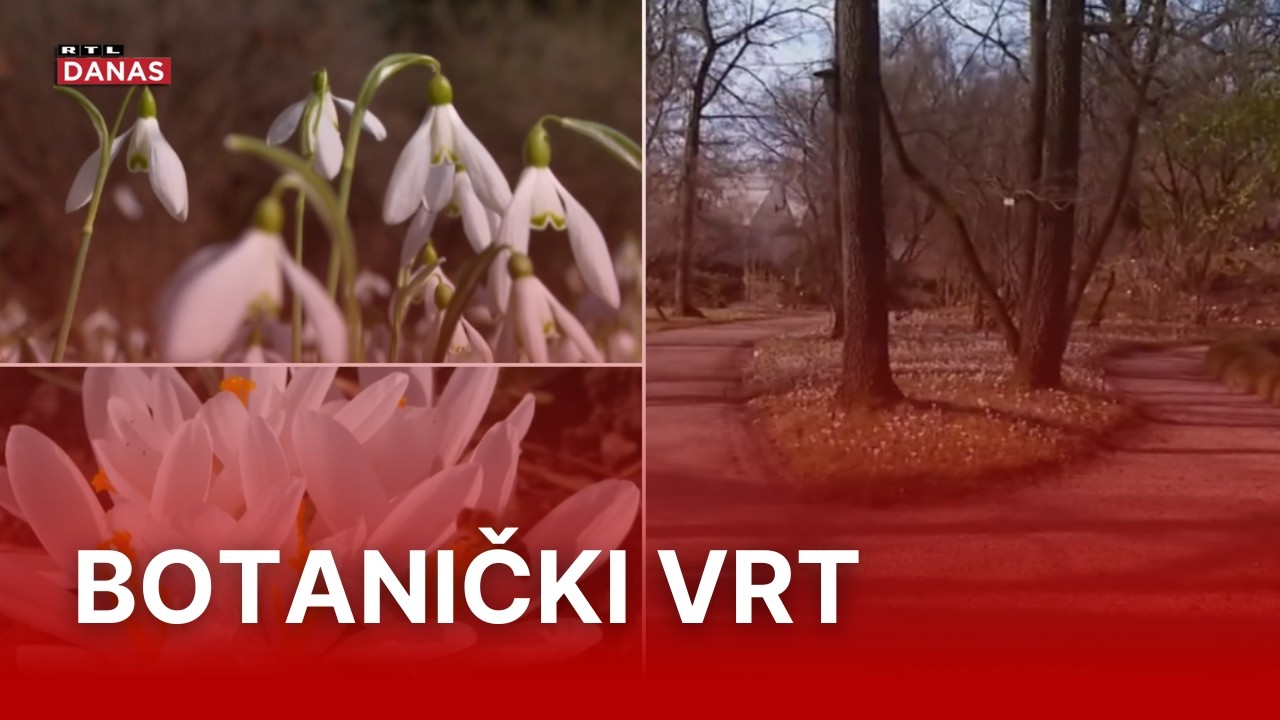 Oaza mira u centru Zagreba ponovno otvorila svoja vrata: Posjetitelje očekuju novosti | RTL Danas