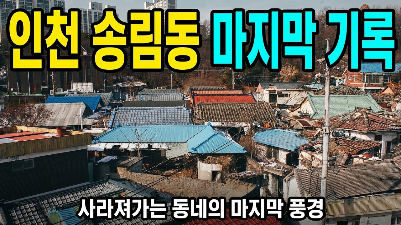 인천, 송림 1,2동 좋아하는 동네였는데 마지막 ㅠㅠ 사진촬영 vlog  Incheon, Songnim-dong(Resume development, last)