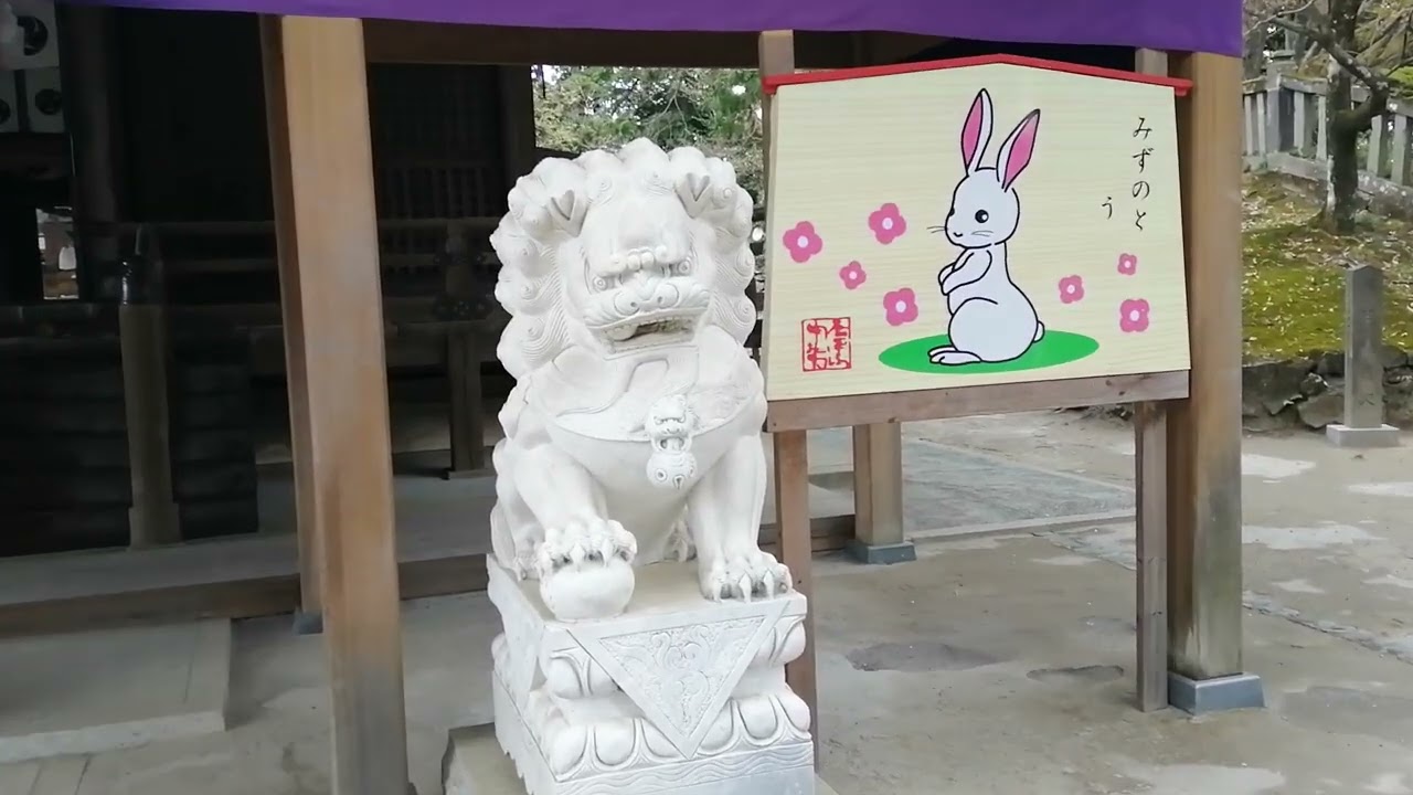 3#010 6唐泽山神社本殿的风景。。。