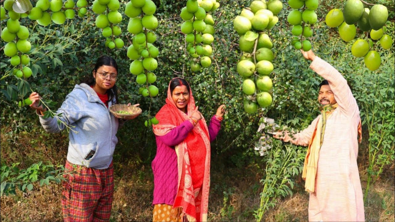 बेर की ऐसी रेसिपी जो आप देखते ही बनाएंगे आज इस रेसिपी को सब भूल चुके हैं लेकिन आप एक बार जरूर बनाएं