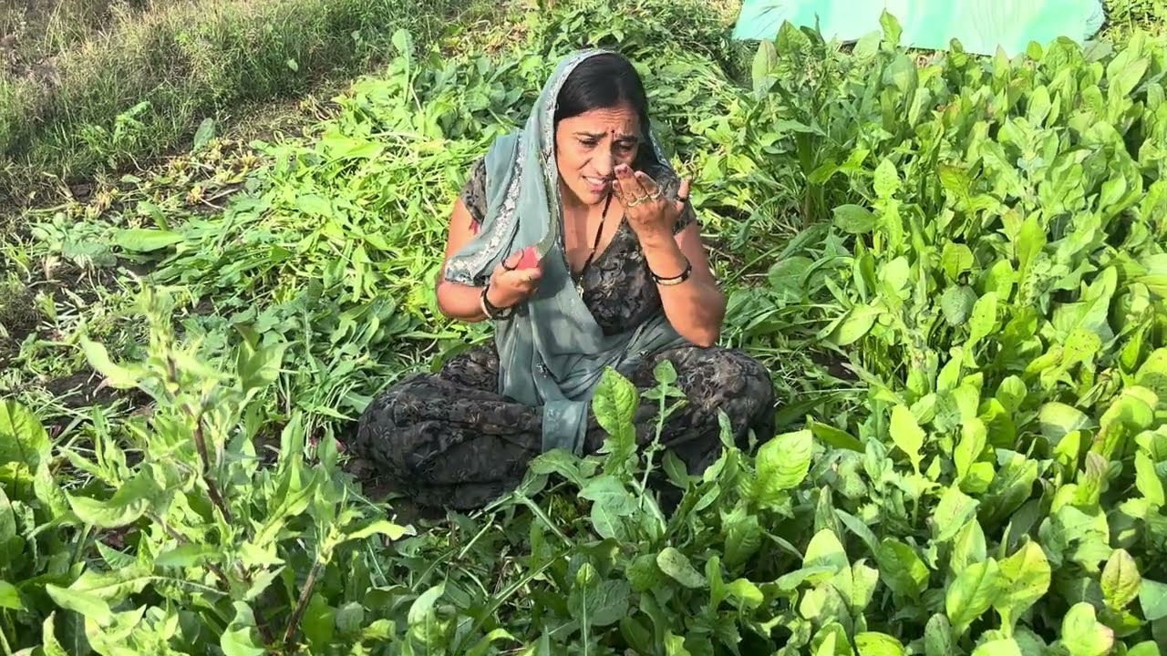 सारा दिन काम करने में व्यस्त रहती हूँ 😔😔