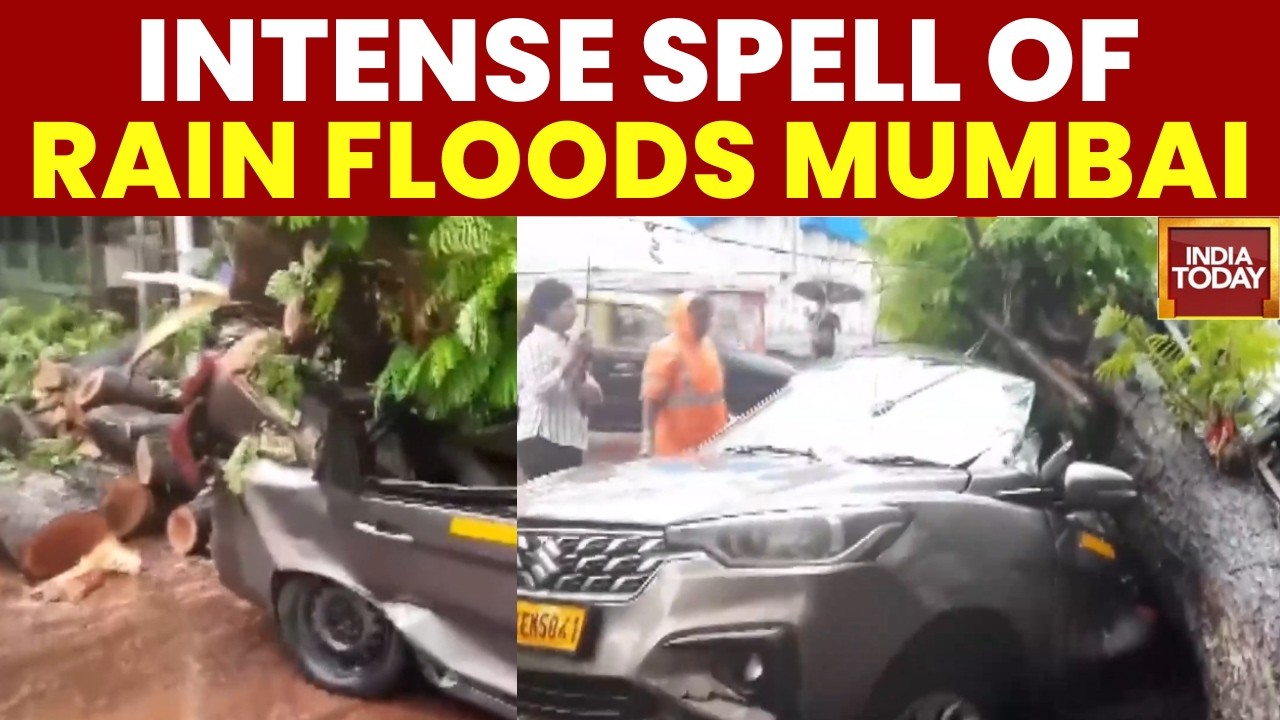 Mumbai Rains: Tree Falls on Car in Dadar, Subway Submerged and Train Services Suspended