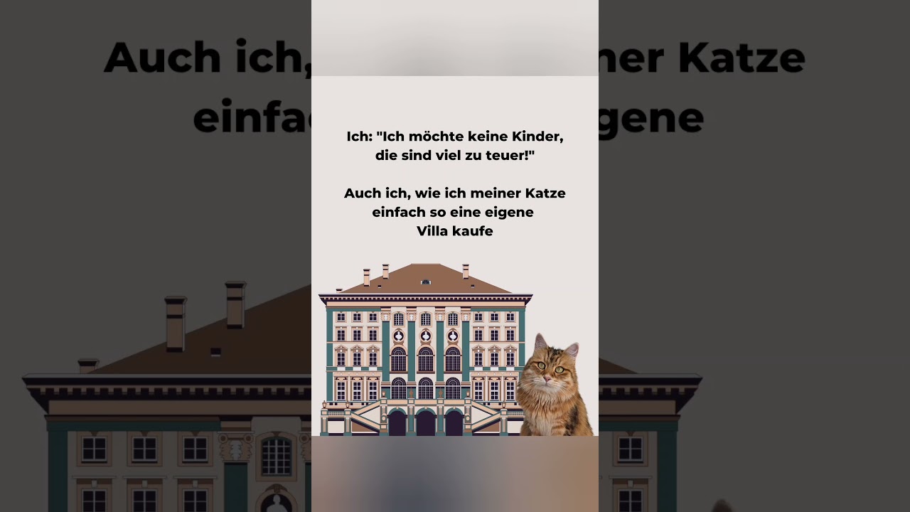 Was f&uuml;r ein Luxusleben 😻 sie verdienen nichts Geringeres 🤭#katzenmemes #lustigekatze #katzenliebe